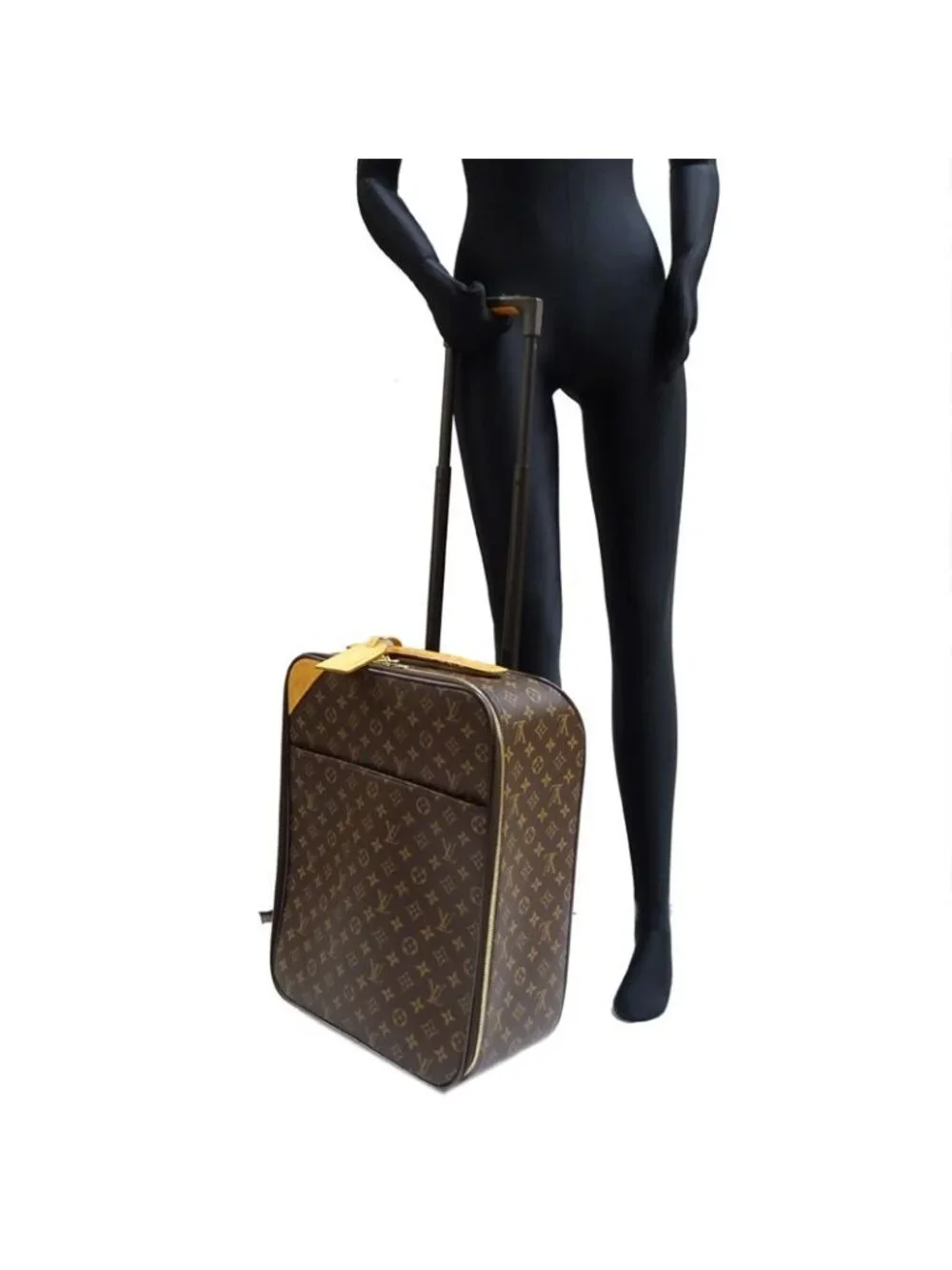 Louis Vuitton Travel Bag